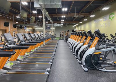 Treadmills at Physiq Fitness Gym in South Salem